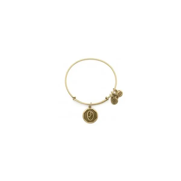 Alex and Ani Charm Bracelets, Earrings, Necklaces Ace Of Diamonds Mount Pleasant, MI