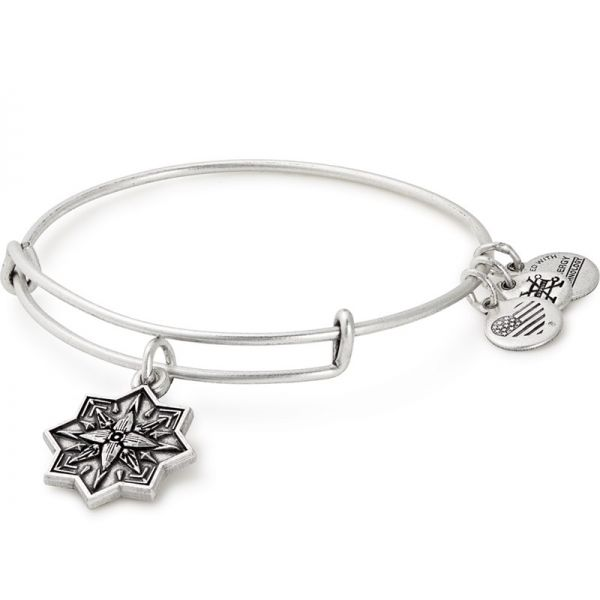 Alex and Ani Charm Bracelets, Earrings, Necklaces Ace Of Diamonds Mount Pleasant, MI