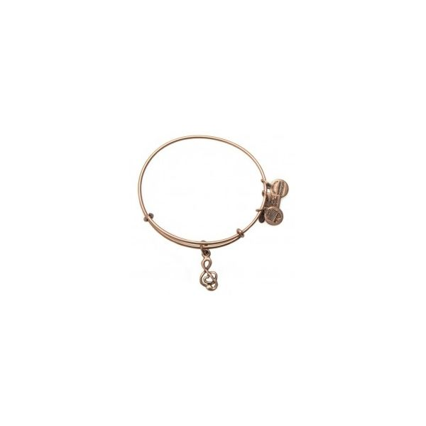 Alex and Ani Charm Bracelets, Earrings, Necklaces Ace Of Diamonds Mount Pleasant, MI