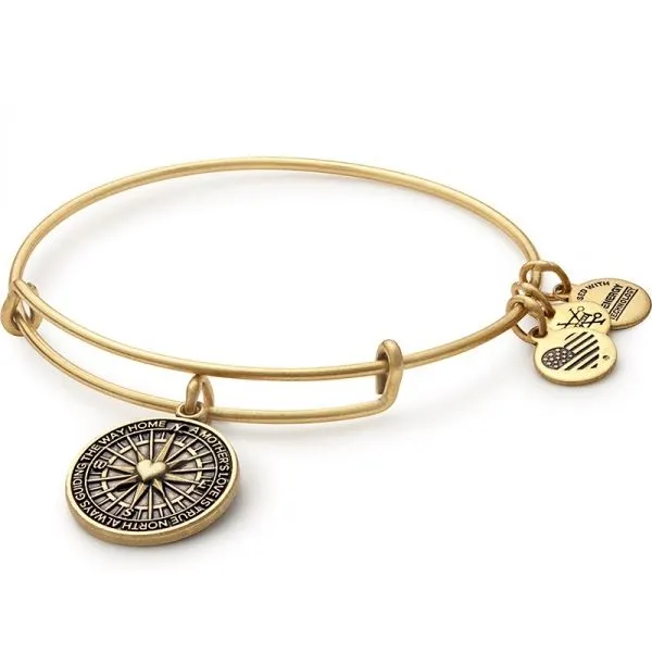 Alex and Ani Charm Bracelets, Earrings, Necklaces Ace Of Diamonds Mount Pleasant, MI