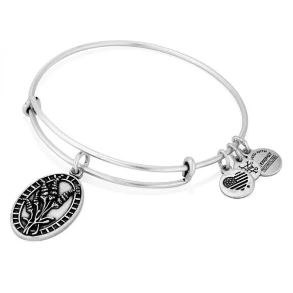 Alex and Ani Charm Bracelets, Earrings, Necklaces Ace Of Diamonds Mount Pleasant, MI