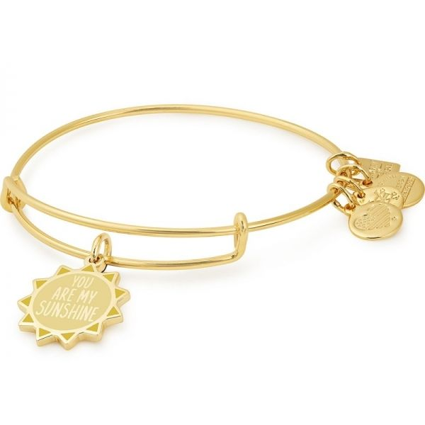 Alex and Ani Charm Bracelets, Earrings, Necklaces Ace Of Diamonds Mount Pleasant, MI