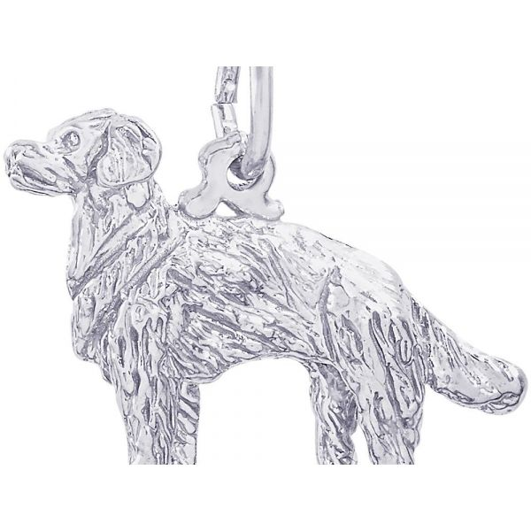 Rhodium Sterling Silver  Golden Retriever Dog 3-D  Charm/Pendant.  H=0.59
