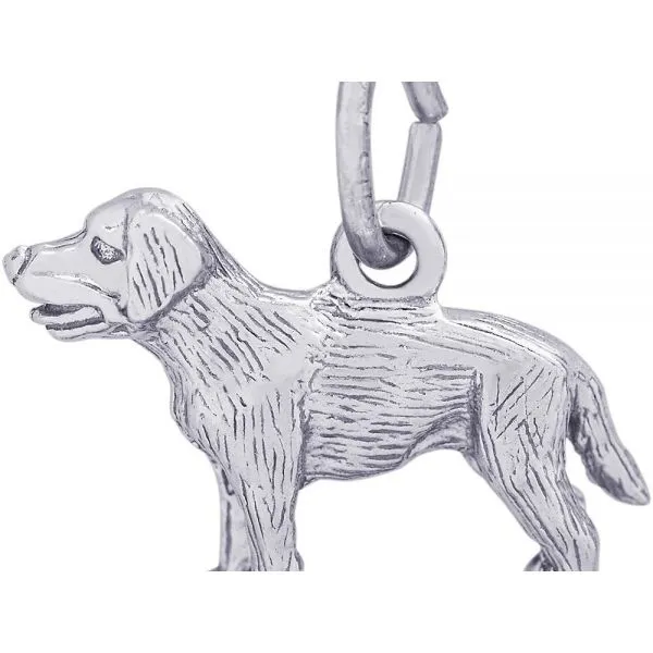 Rhodium Sterling Silver Labrador Dog 3-D Charm/Pendant. H 0.59