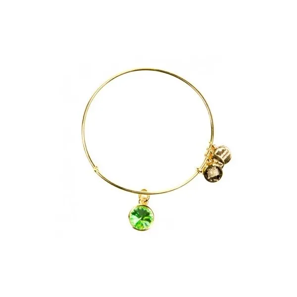 Alex & Ani Bracelets Barnes Jewelers Goldsboro, NC