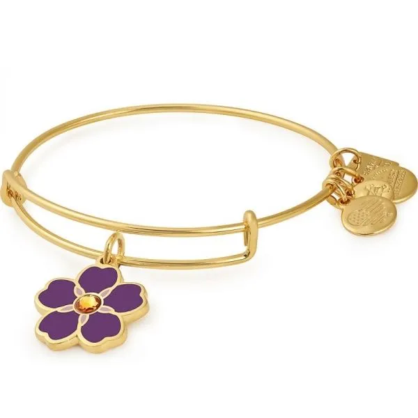 Alex & Ani Bracelets Barnes Jewelers Goldsboro, NC