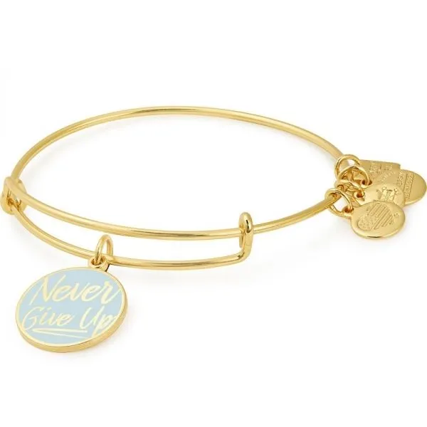 Alex & Ani Bracelets Barnes Jewelers Goldsboro, NC