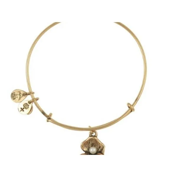 Alex & Ani Barnes Jewelers Goldsboro, NC