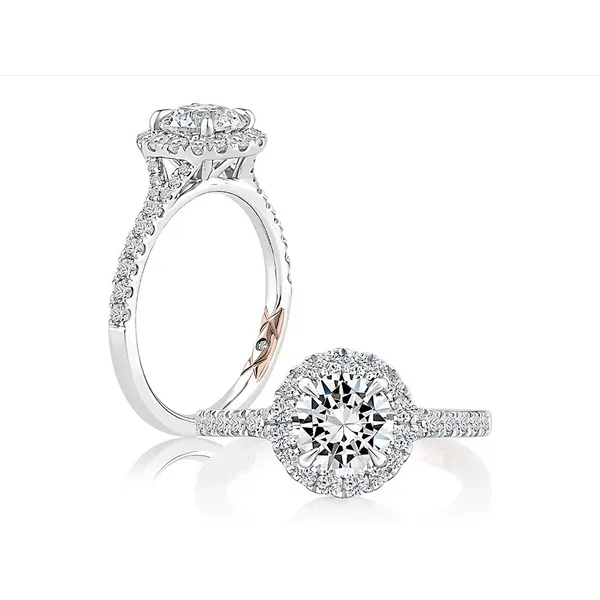 Platinum Engagement Ring Baxter's Fine Jewelry Warwick, RI