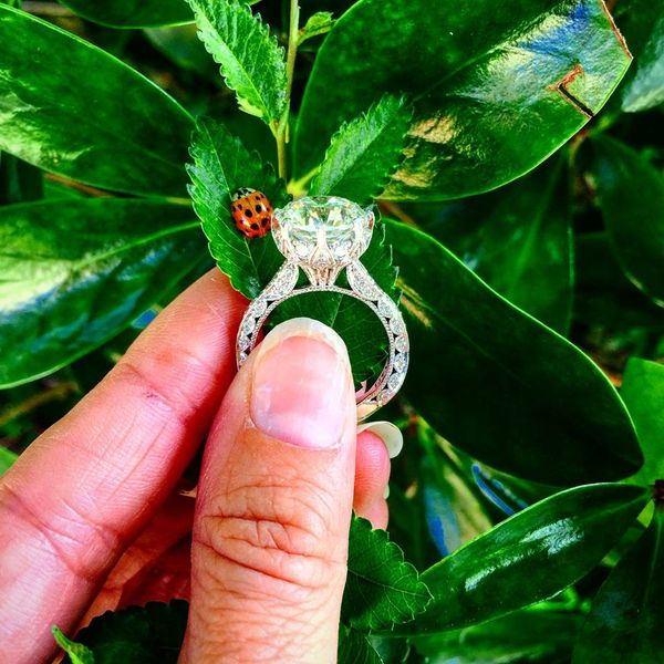 Engagement Ring Image 4 Diamond Jewelers Gulf Shores, AL