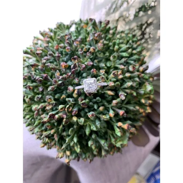 Loose Diamond Diamond Jewelers Gulf Shores, AL