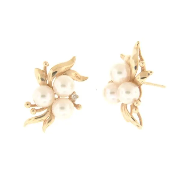 Earrings Diamond Showcase Longview, WA