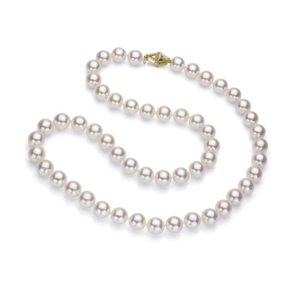 14k Yellow Gold Akoya Pearl Strand Necklace Dickinson Jewelers Dunkirk, MD