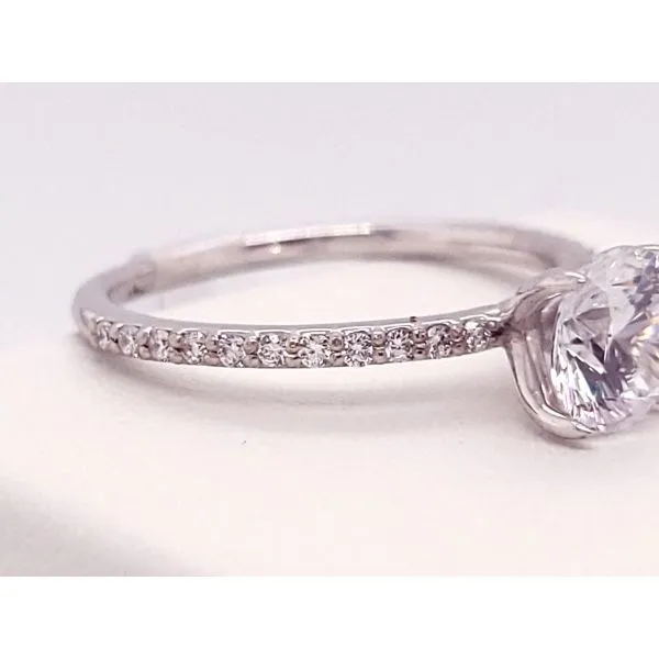 Diamond Semi-Mount Ring Image 3 Dolabany Jewelers Westwood, MA