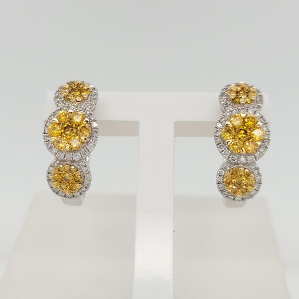 Diamond Earring Dolabany Jewelers Westwood, MA