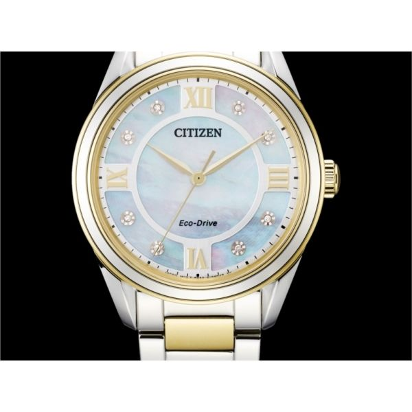 Citizen Watch Dolabany Jewelers Westwood, MA