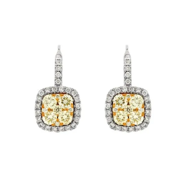 Diamond Earrings Georgetown Jewelers Wood Dale, IL