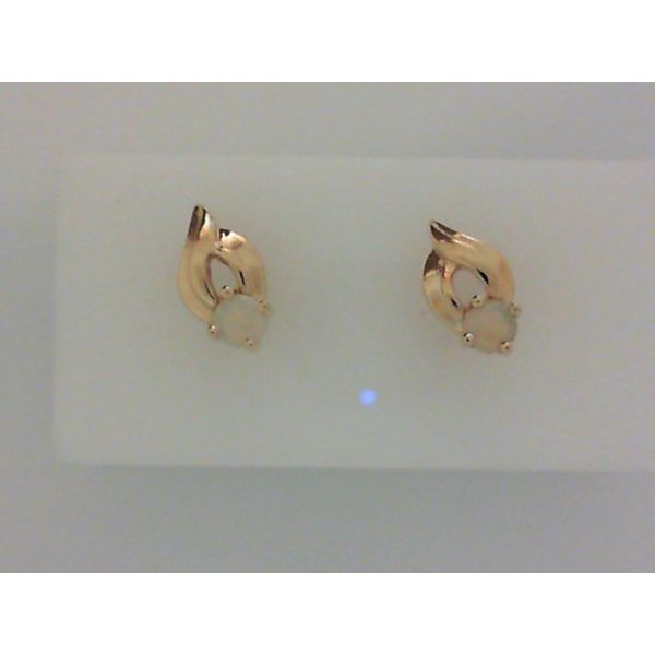 Earrings H. Brandt Jewelers Natick, MA