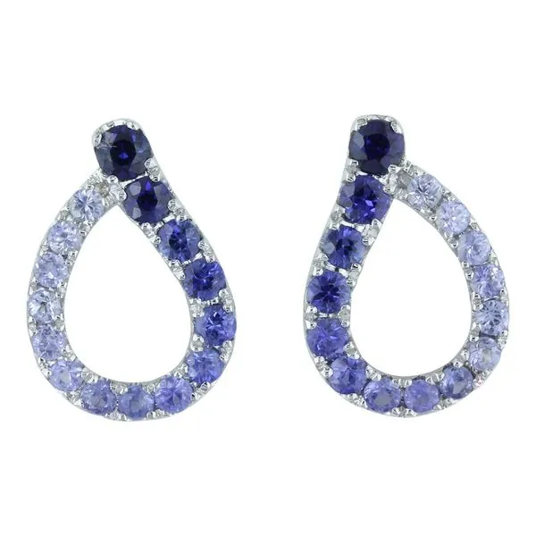 Earrings H. Brandt Jewelers Natick, MA