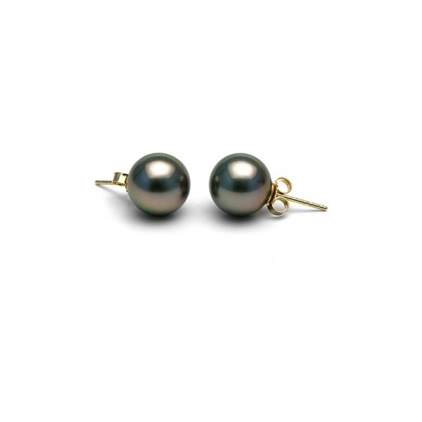 Tahitian Grey Pearl Earrings Hingham Jewelers Hingham, MA