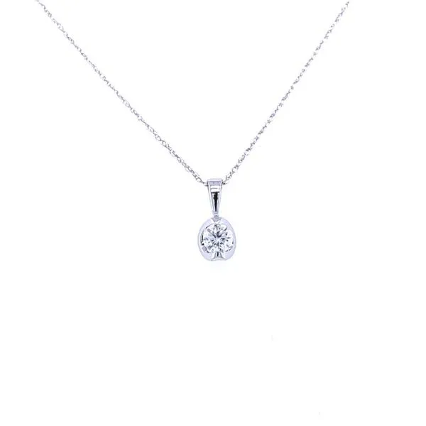 Pendant House of Silva Wooster, OH