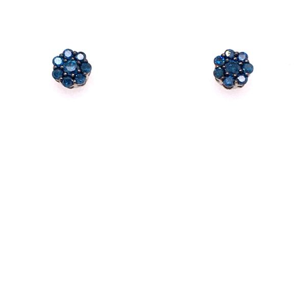 Diamond Fashion Earrings James Martin Jewelers Dubuque, IA