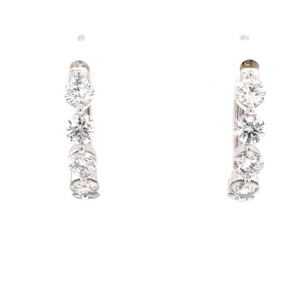 Diamond Fashion Earrings James Martin Jewelers Dubuque, IA