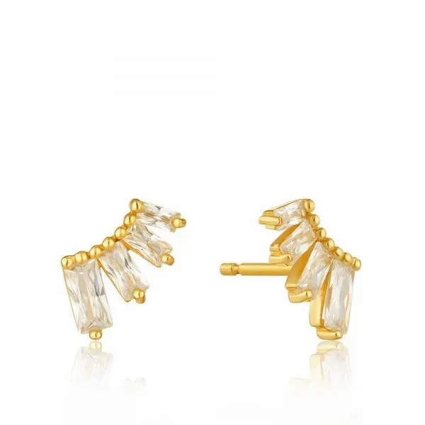 S/S Earrings James Martin Jewelers Dubuque, IA