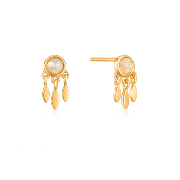 S/S Earrings James Martin Jewelers Dubuque, IA