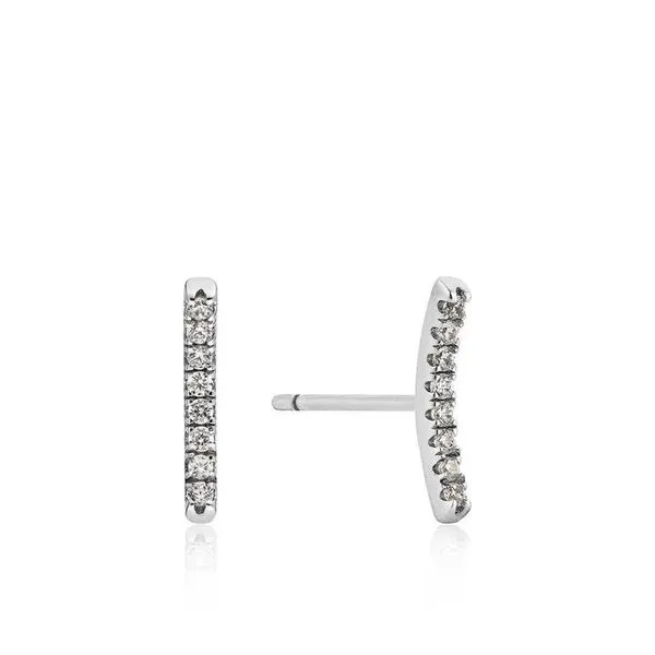 S/S Earrings James Martin Jewelers Dubuque, IA