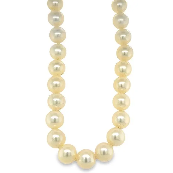 Yellow 14 Karat Gold Strand Freshwater Pearls Jo & Co. Jewelers Hardy, VA
