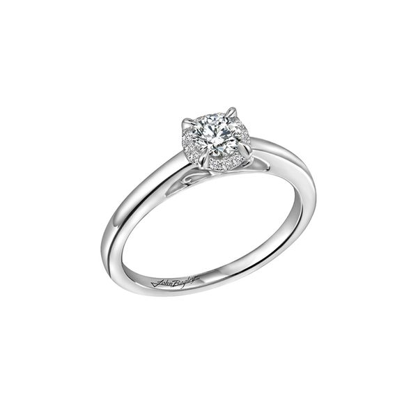 Elegant Solitaire Cathedral Halo  Engagement Ring J. Thomas Jewelers Rochester Hills, MI