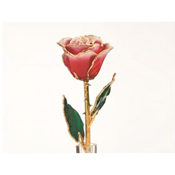 24K Gold Everlasting Rose - Frozen J. Thomas Jewelers Rochester Hills, MI