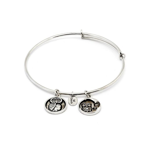 Wisdom Expandable Bangle Rhodium J. Thomas Jewelers Rochester Hills, MI