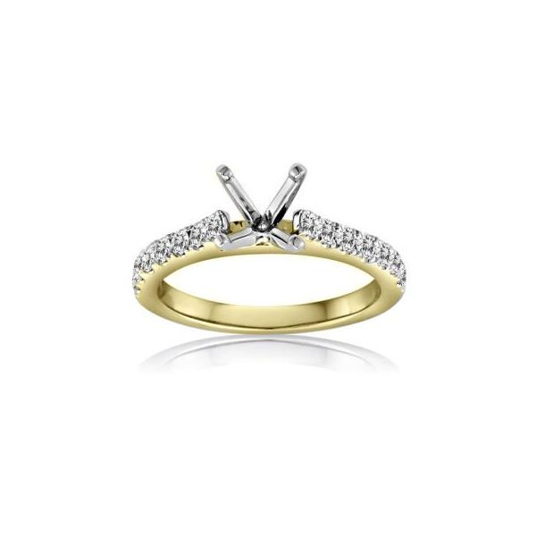 Engagement Ring  Lumina Gem Wilmington, NC