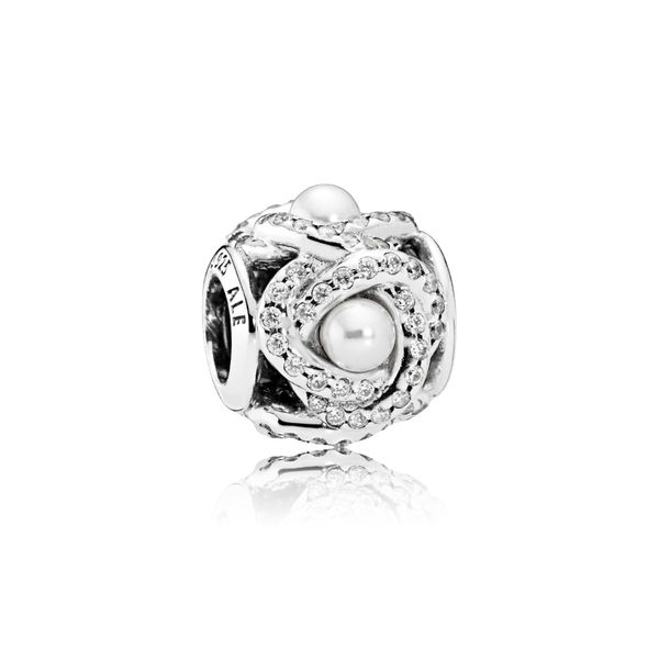 Pandora Charms Mari Lou's Fine Jewelry Orland Park, IL