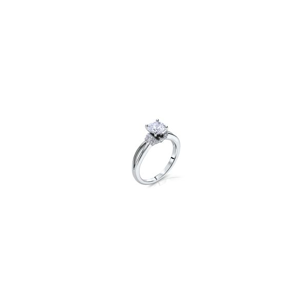 Lady's 14K White Gold Ring Mounting W/50 Diamonds Orin Jewelers Northville, MI