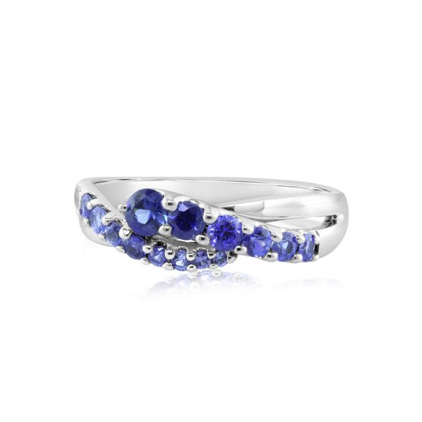 14k White Gold Ring With 14 Blue Sapphires Orin Jewelers Northville, MI
