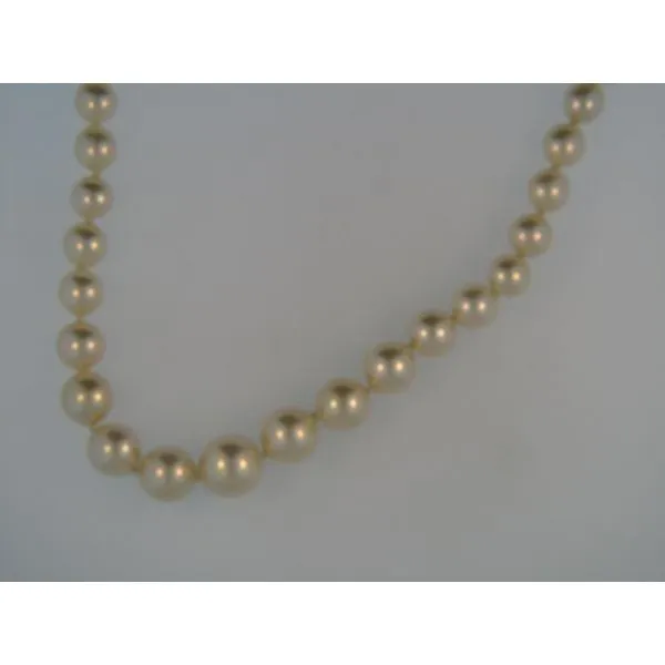 Strand Orin Jewelers Northville, MI