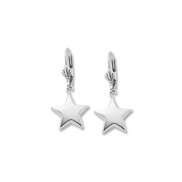 Lady's 14K White Gold Star Earrings Orin Jewelers Northville, MI