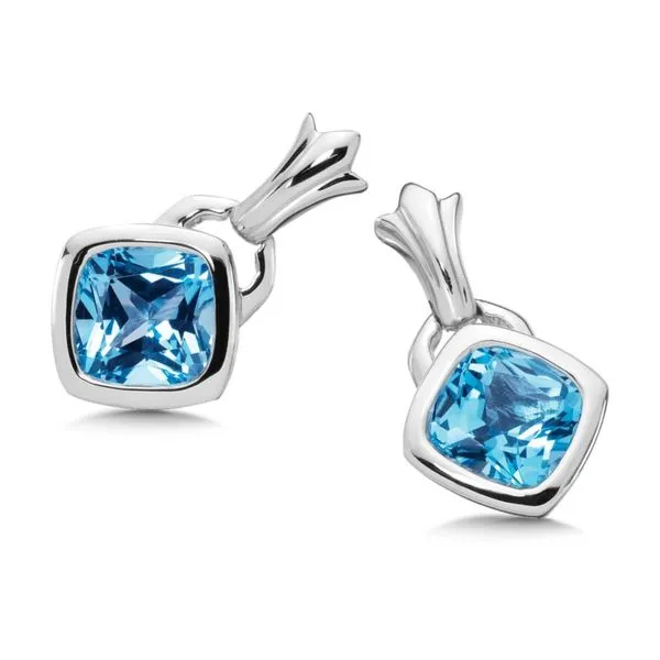 Lady's Sterling Silver Blue Topaz Earrings Orin Jewelers Northville, MI