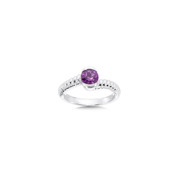 Lady's Sterling Silver Amethyst Ring Orin Jewelers Northville, MI