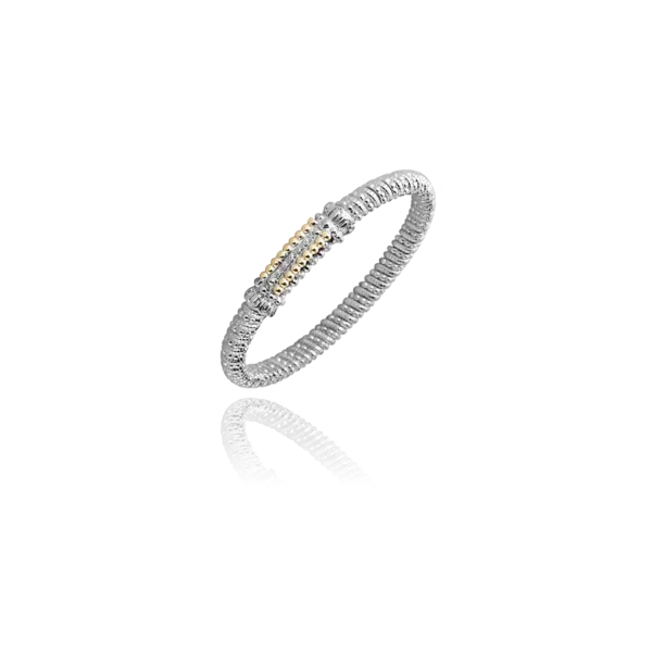 Lady's Two Tone SS & 14K Yellow Gold 6mm Band Bracelet W/5 Diamonds Orin Jewelers Northville, MI