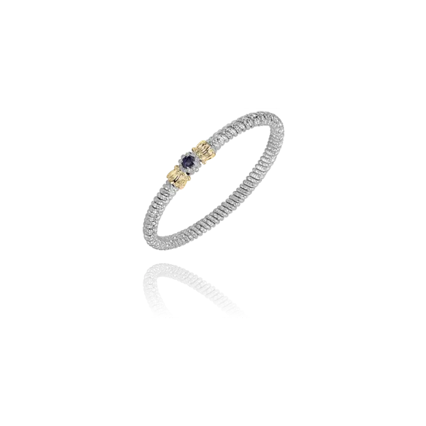 Lady's Two Tone Sterling Silver & 14K Yellow Gold 4mm Bracelet W/10 Diamonds & 1 Iolite Orin Jewelers Northville, MI