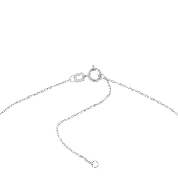 14K White Gold Mini Disc Necklace Image 4 Paul Bensel Jewelers Yuma, AZ