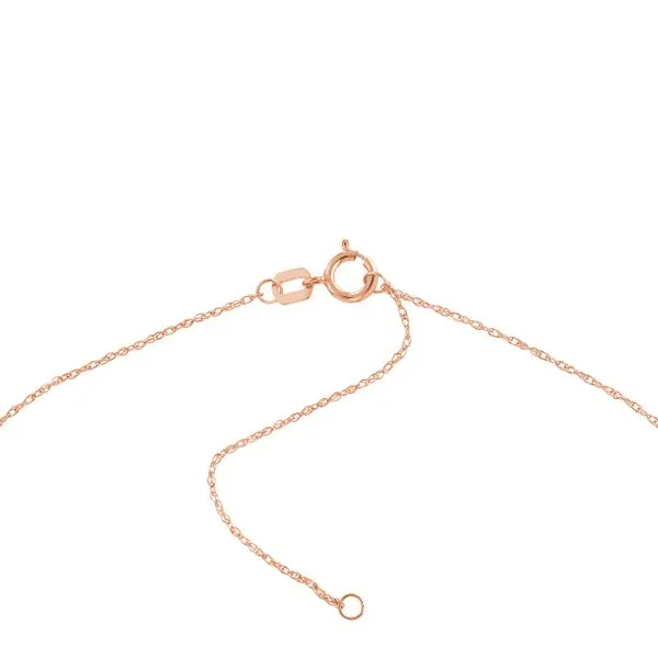 14K Rose Gold Mini Disc Necklace Image 4 Paul Bensel Jewelers Yuma, AZ