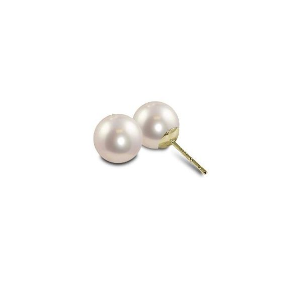 Pearl Earrings P.J. Rossi Jewelers Lauderdale-By-The-Sea, FL