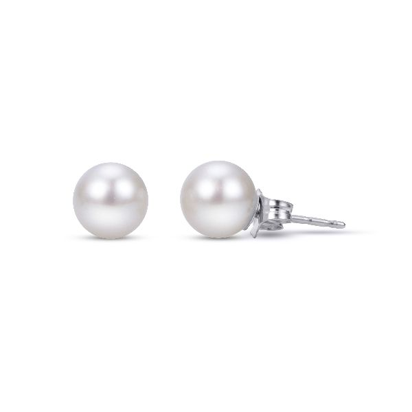 14K White Gold Freshwater Pearl Earrings Puckett's Fine Jewelry Benton, KY