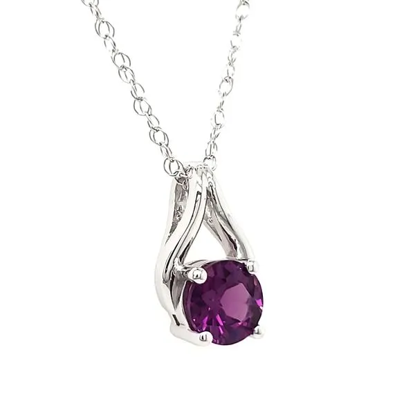 14K White Gold Purple Garnet Wishbone Pendant Image 3 Quality Gem LLC Bethel, CT