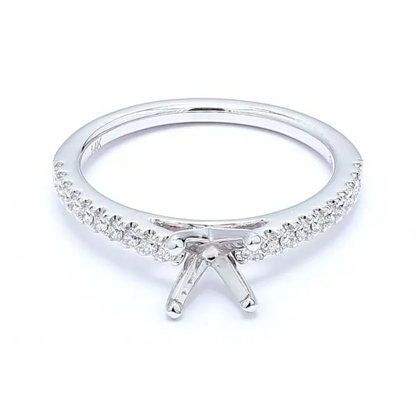 14K White Gold 0.18ctw Diamond Accented Cathedral Semi-mount Engagement Ring Raleigh Diamond Fine Jewelry Raleigh, NC